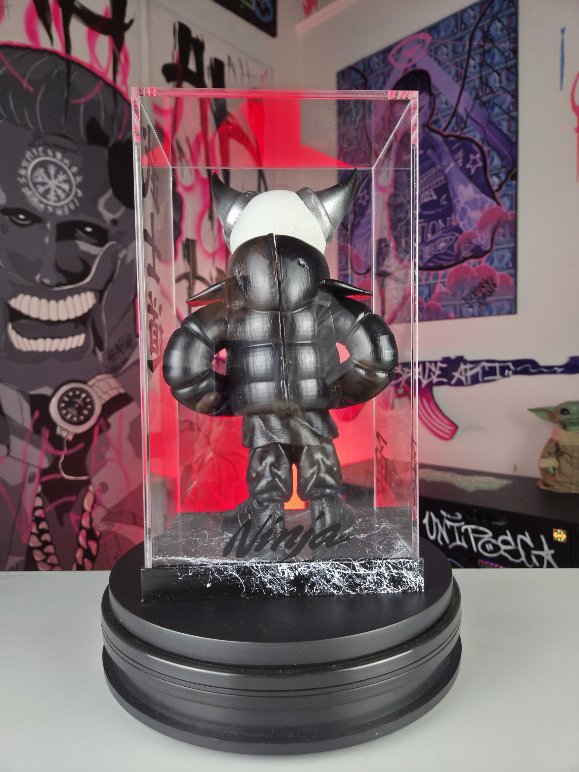 NINJA - immagine 4
